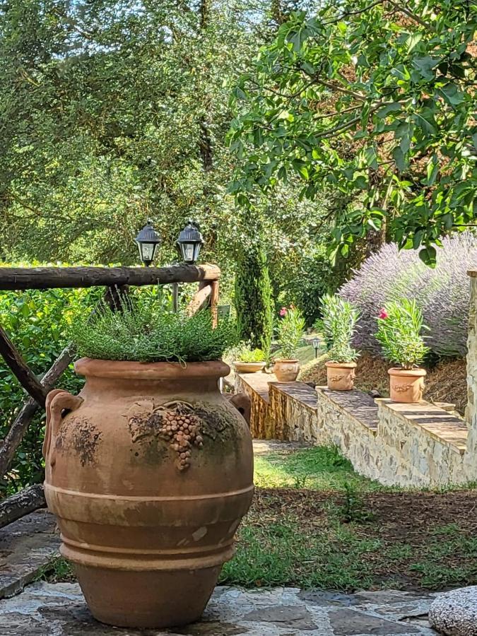 Luxury 1-Bedroom House With The Pool In Tuscany. Anghiari Exterior foto