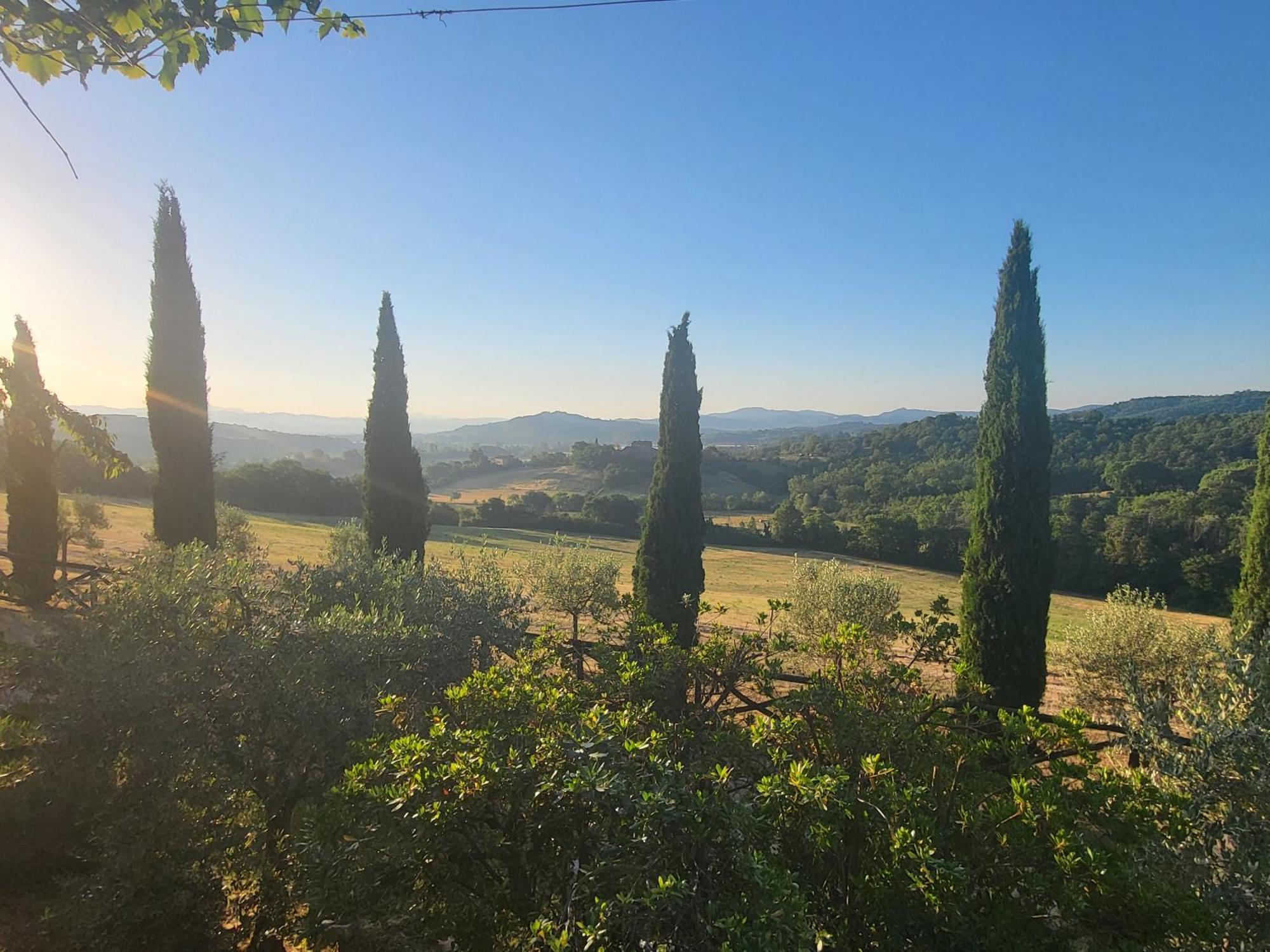 Luxury 1-Bedroom House With The Pool In Tuscany. Anghiari Exterior foto